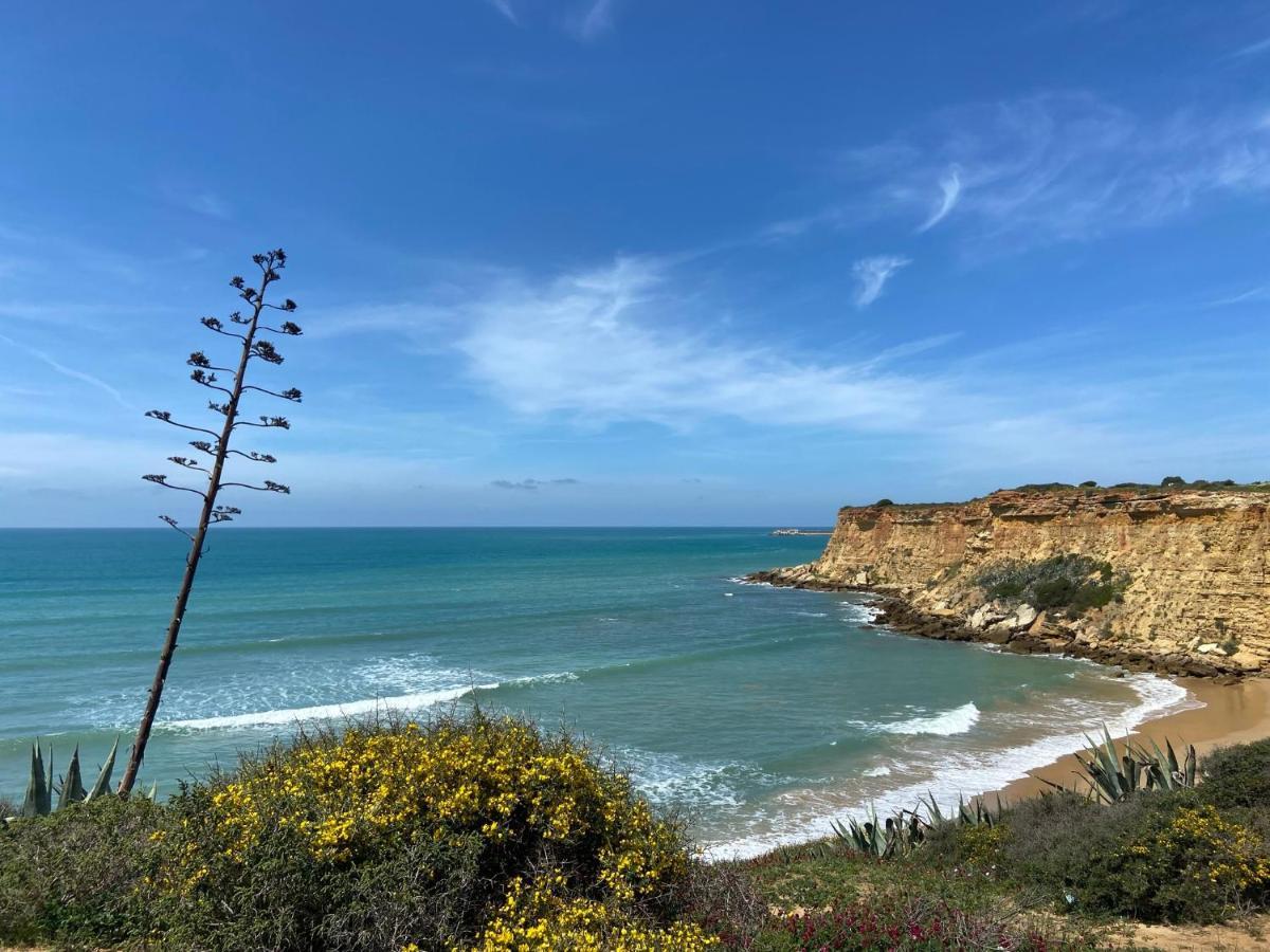 Mellizos Conil De La Frontera